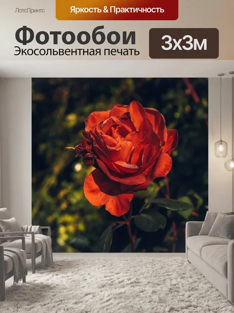 Фотообои Цветок