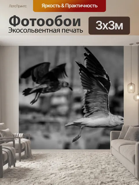 Фотообои Чайка