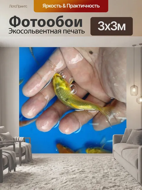 Фотообои Кои