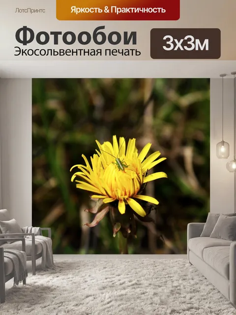 Фотообои Осот огородный