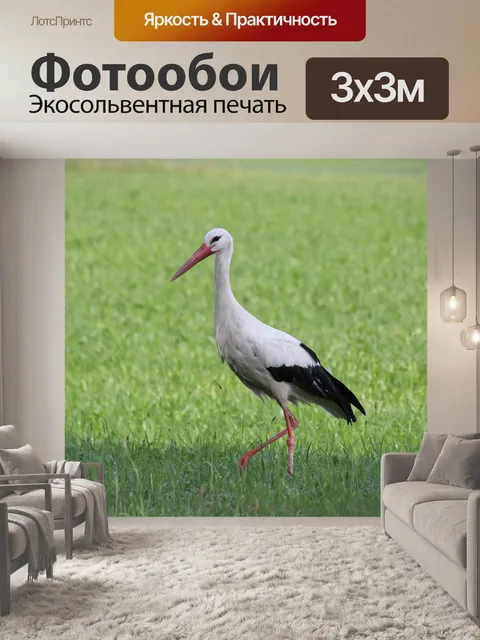 Фотообои Природа