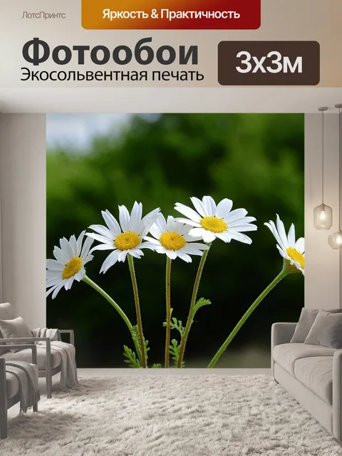 Фотообои Цветы