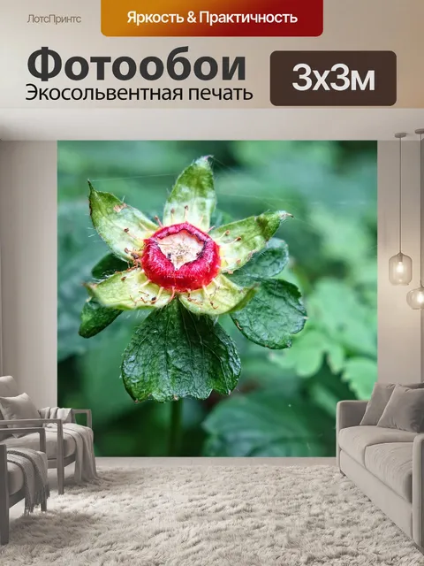 Фотообои Земляники