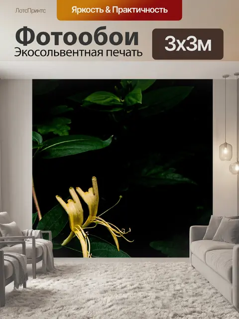 Фотообои Цветы