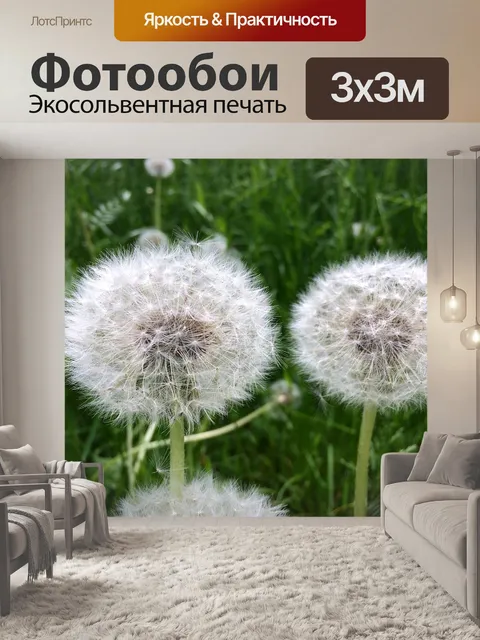 Фотообои Одуванчик