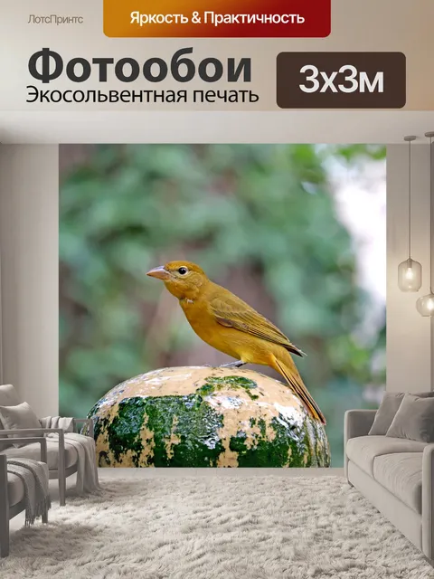 Фотообои Птица