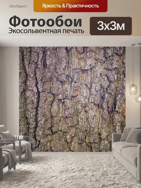 Фотообои Кора плоского дерева