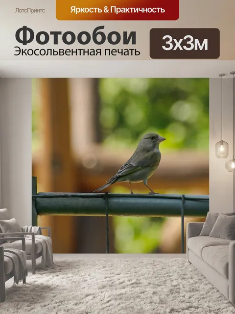 Фотообои Птица