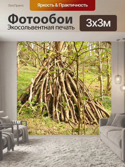 Фотообои Лес