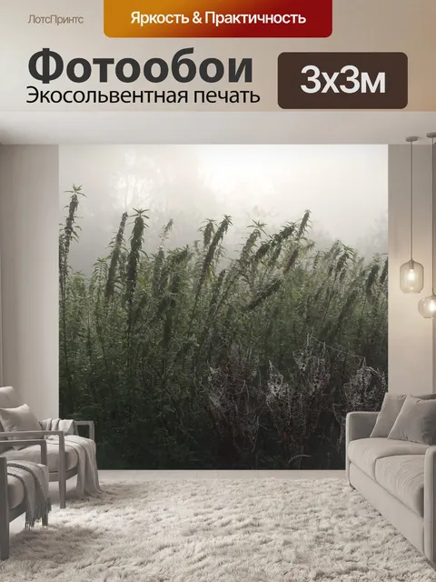 Фотообои Туман