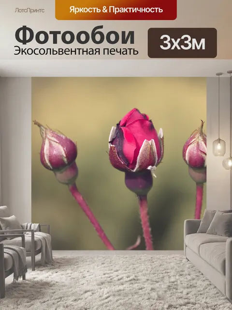 Фотообои Бутоны роз