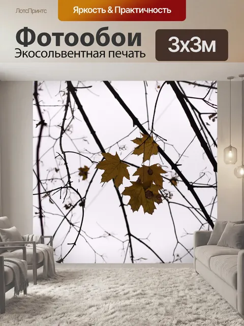 Фотообои Листья