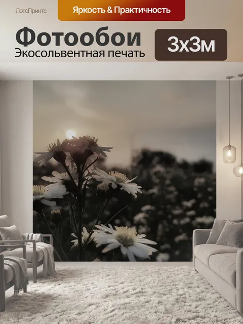 Фотообои Хризантема