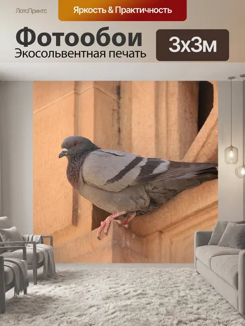 Фотообои Птица