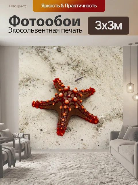 Фотообои морская звезда