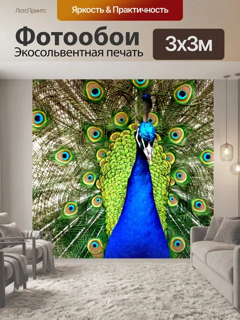 Фотообои Павлин