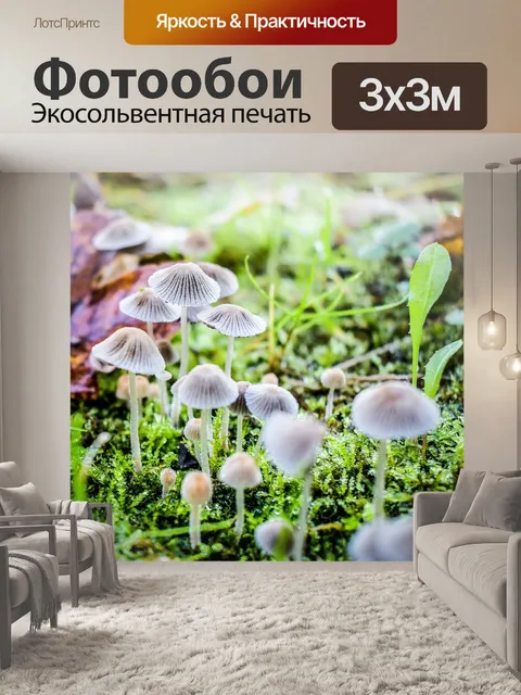 Фотообои Грибы