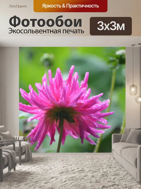 Фотообои Цветы