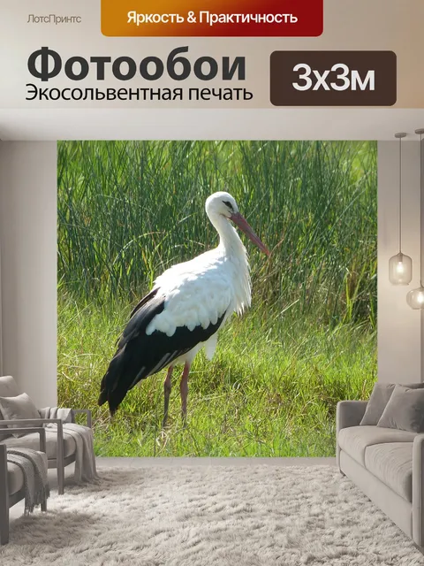 Фотообои Аист