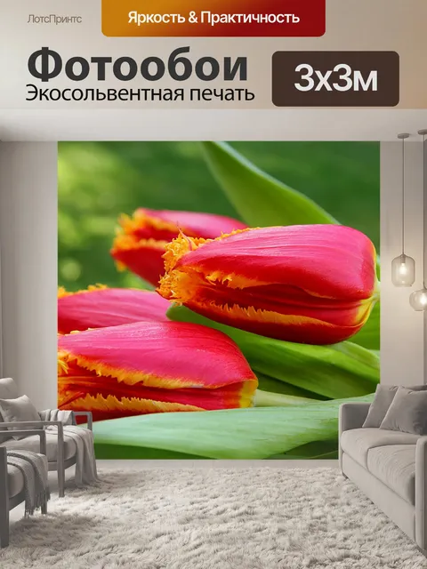 Фотообои Тюльпан