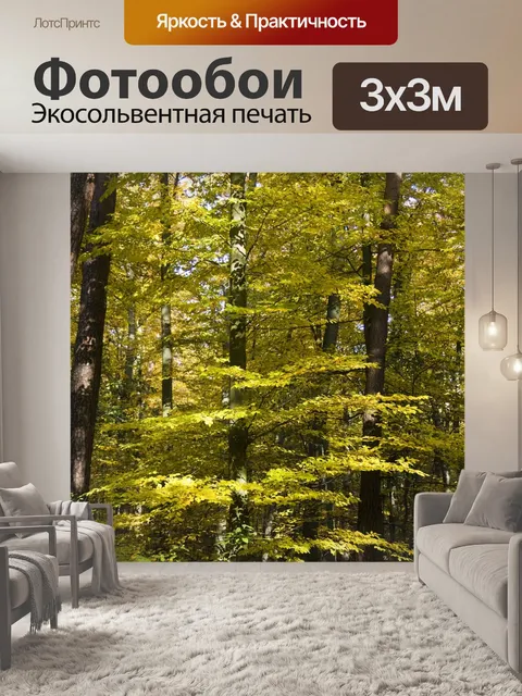 Фотообои Лес