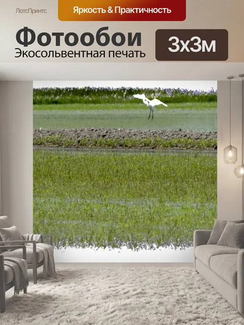 Фотообои Великие цапли