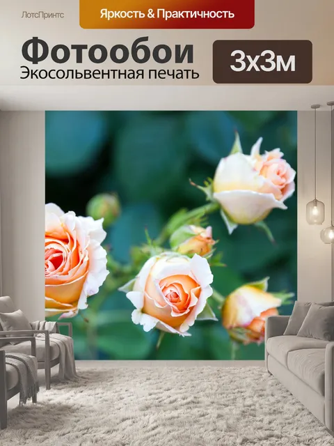 Фотообои Розы