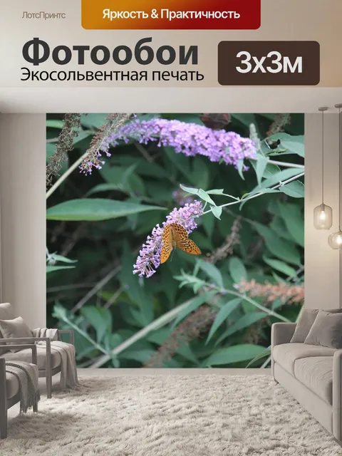 Фотообои Бабочка