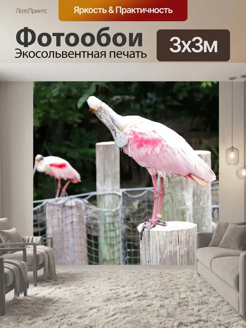 Фотообои Птицы