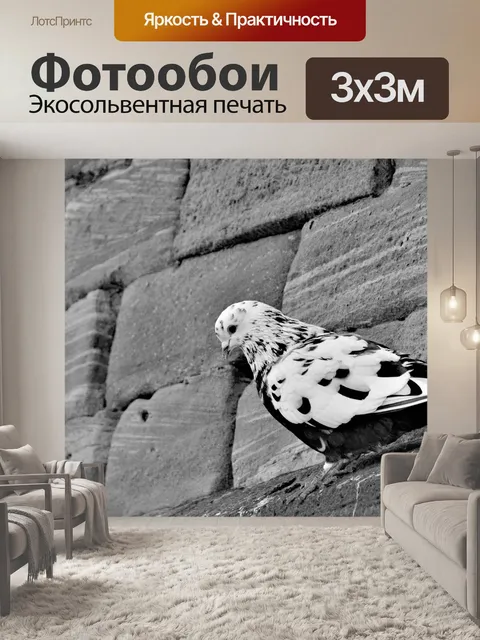 Фотообои Голубь