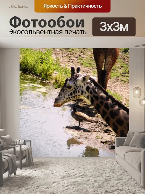 Фотообои Зоопарк KC 02