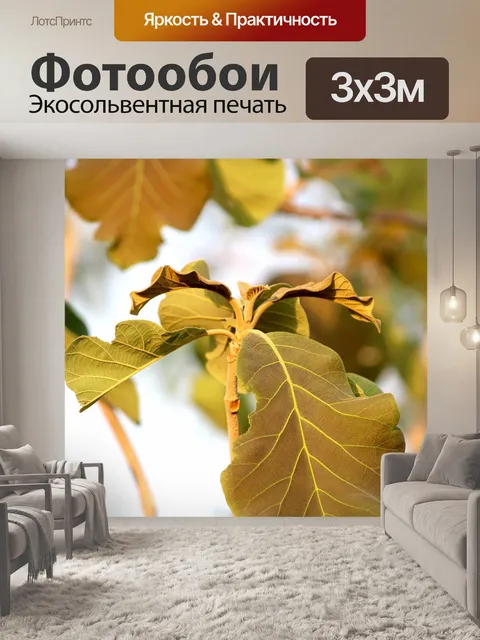 Фотообои Дикое дерево листья