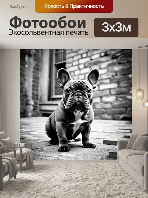 Фотообои изображение французского бульдога