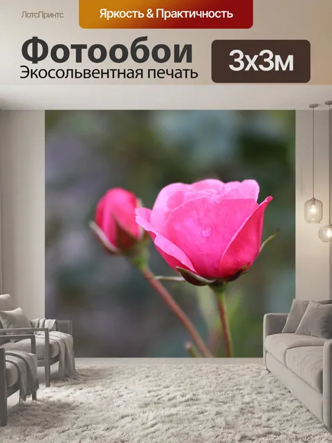 Фотообои Розы