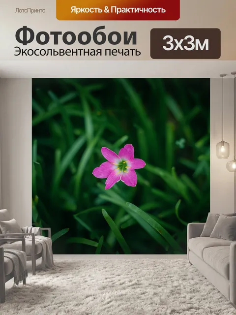 Фотообои Цветок
