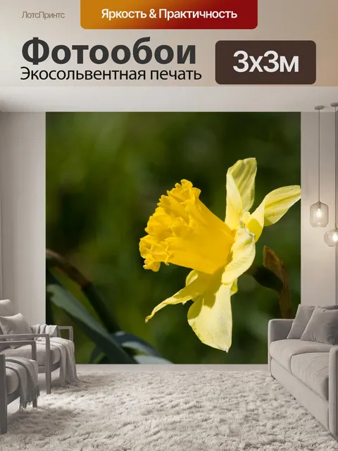 Фотообои Бледно-желтый цветок крупным планом