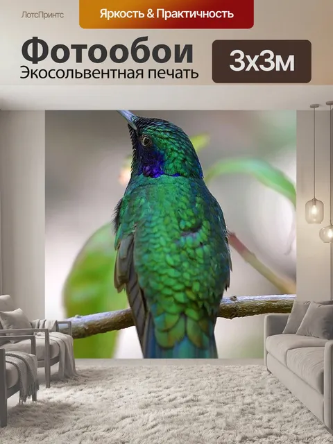 Фотообои Птица