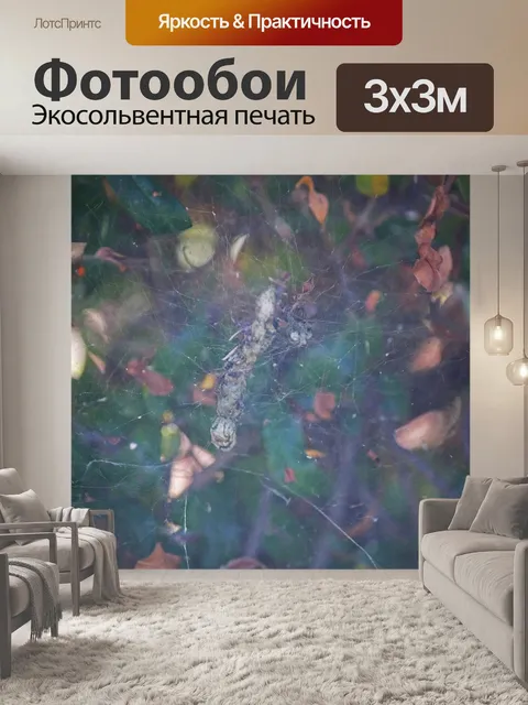 Фотообои остаток паутины в паутине