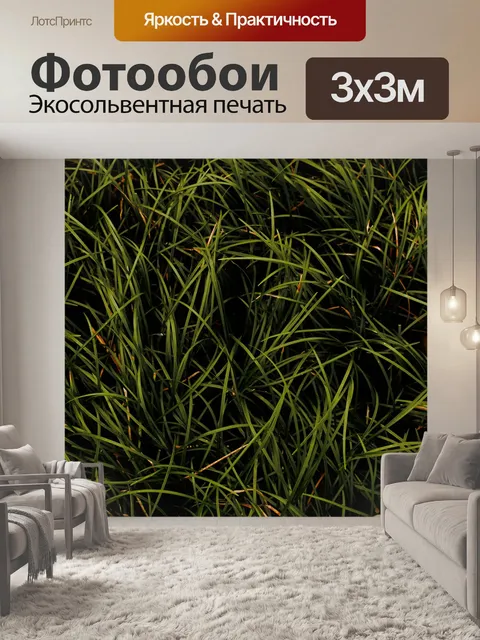 Фотообои Лист