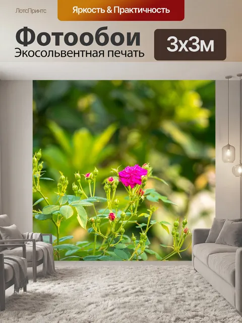 Фотообои Цветок