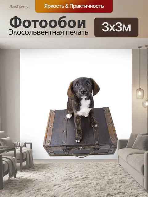 Фотообои Щенок с чемоданом
