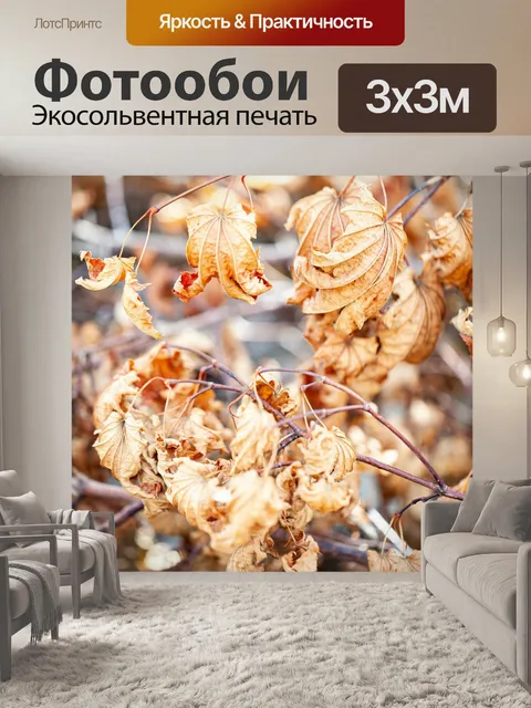Фотообои Листья