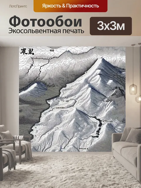 Фотообои японская топографическая карта