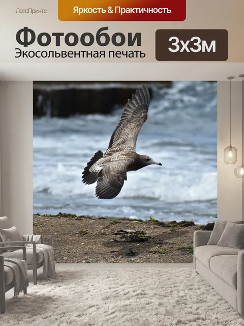 Фотообои Животное