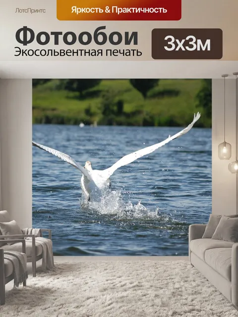 Фотообои Птица