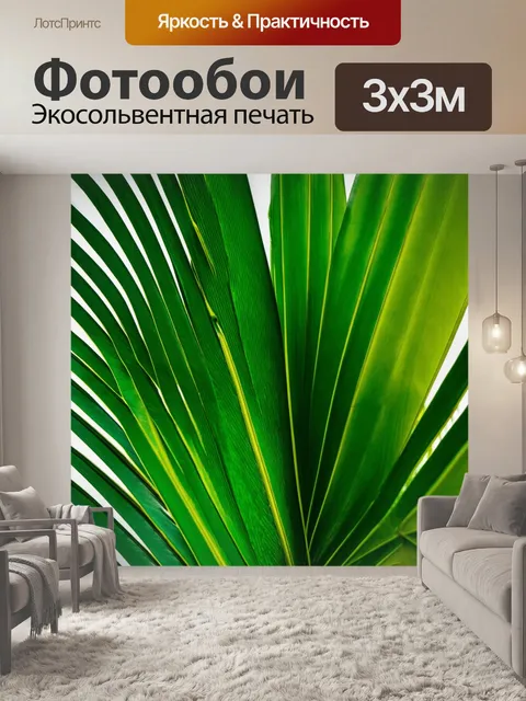 Фотообои пальмовые листья в стиле минимализм