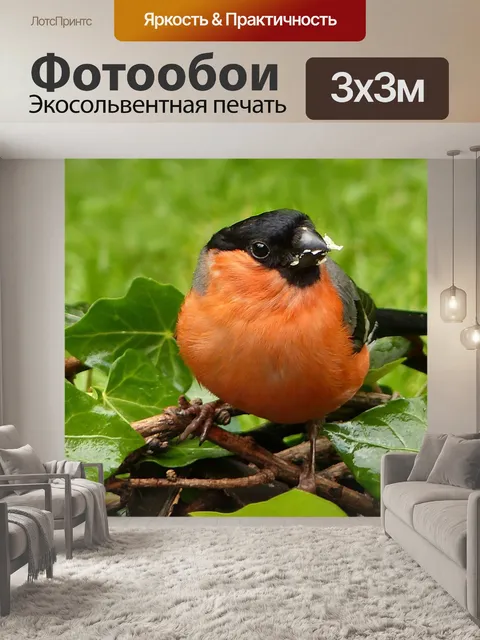 Фотообои Животное