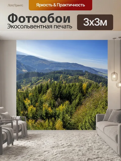 Фотообои Осенний лес