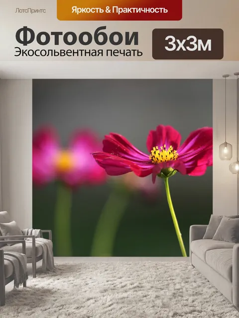 Фотообои Красный космос