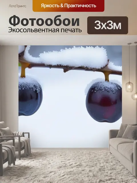 Фотообои зимняя зима с сливы в снегу